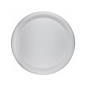 10 Inch Bagasse Round Plate (Pack of 25)