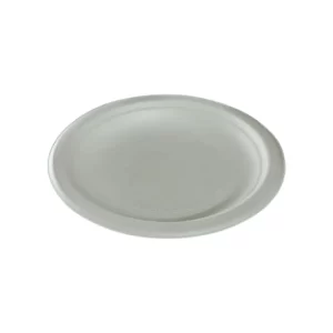 9 Inch Round Bagasse Plate, (Pack of 25)