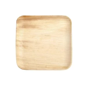 Areca Palm Leaf Plates | Disposable & Eco-Friendly | 11 Inches | Pack of 20