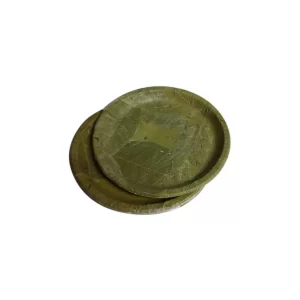 Leaf Plates (100% Bio-degradable) (Pack of 20)